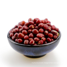 Chinese new crop adzuki bean small red bean 4.5-6.0mm with good muanfacture on hot sale